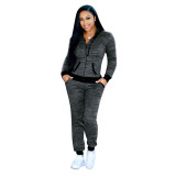 Hooded Zip-up Long Sleeves Sweatshirt and Pants Track Suit Two-piece