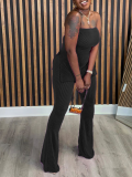 Sexy Solid Color Slim Strapless Pit Women's Two-Piece Outfits