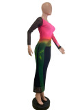 Spring/Autumn Double-layer Mesh Elegant Long Dresses