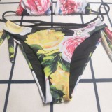 Summer Beach Padded Printed Halter Two Piece Bikini Swimwears