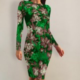 1 Piece Custom Casual Print Crew Neck Long Sleeve Midi Dress