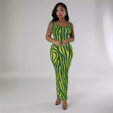 Women's Sleeveless Bodycon Striped Printed Party Long Maxi Dress