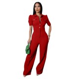 Elegant Women Dressy Formal Casual Long Straight Pants Business Jumpsuit