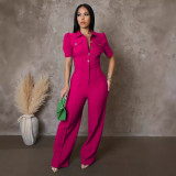 Elegant Women Dressy Formal Casual Long Straight Pants Business Jumpsuit