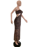 Leopard Print Wrapped Hollow Out Mesh Sexy Dress
