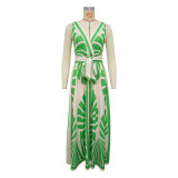 Sexy Deep V Sleeveless Positioning Print Bohemian Dress