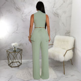 Solid Color Sleeveless Pleated Two-piece Pant Set