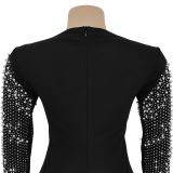 Elegant Slim-Fit Beads Embellished Bodycon Evening Dress
