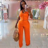 Summer 2 Piece Outfits Dressy Halter V Neck Crop Tops Blazer Vest Pants Sets