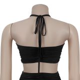 Sexy Strapless Tube Top Pleated Mesh Long Skirt Set