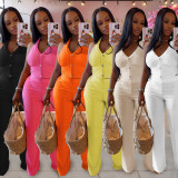 Summer 2 Piece Outfits Dressy Halter V Neck Crop Tops Blazer Vest Pants Sets
