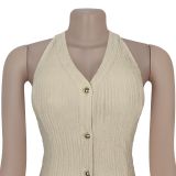 Summer 2 Piece Outfits Dressy Halter V Neck Crop Tops Blazer Vest Pants Sets