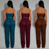 Summer 2 Piece Outfits Dressy Halter V Neck Crop Tops Blazer Vest Pants Sets