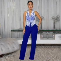 Elegant Printed Sleeveless Crop Top and Pants Two-Piece Set