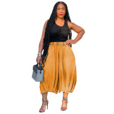 Women's Elastic Waist Wide Leg Capris Jeans Y2K Loose Pleated Denim Pants