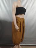 Women's Elastic Waist Wide Leg Capris Jeans Y2K Loose Pleated Denim Pants