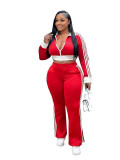 Casual Stripe Zipper Turndown Collar Long Sleeve Two Pieces