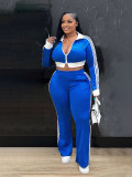Casual Stripe Zipper Turndown Collar Long Sleeve Two Pieces