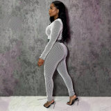 Casual Sportswear Solid Color Striped Long Sleeve Zipper Two Piece