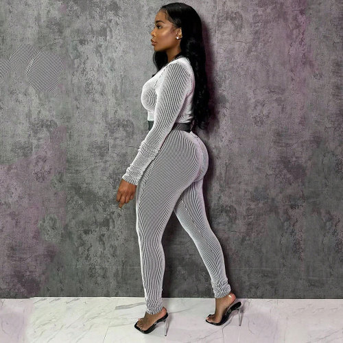 Casual Sportswear Solid Color Striped Long Sleeve Zipper Two Piece