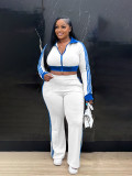 Casual Stripe Zipper Turndown Collar Long Sleeve Two Pieces