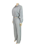 Contrast Line Half-Zip Sweatshirt Wide Leg Pants 2pcs Set