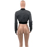 Fashion Print Embroidery Ribbed Long Sleeve Zipper Short Crop Jacket