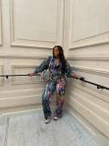 Women's clothing top, fashionable and casual, painted long sleeved shirt