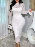 Fashion women's new product slim fit lace sleeve see through cover up long suspender sexy dress