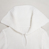 Elegant commuting winter big collar slim fit elastic lantern sleeve woolen dress