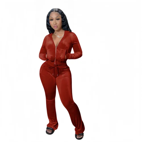 Solid color gold velvet casual hooded women's two-piece set