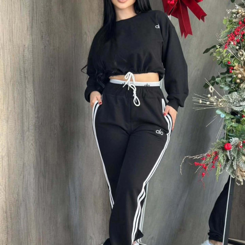 Casual Embroidered Round Neck Sweatsuits