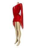 Mesh see through deep V-neck, backless flared sleeves, hip hugging skirt, dress