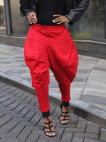 High waisted Haren pants, women's carrot pants, slim and wide leg casual dad pants