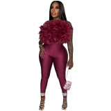 Turkey feather strapless one shoulder backless elastic pants two-piece set
