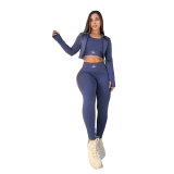 ALO casual long sleeved jacket embroidered with European and American slimming yoga exercise three piece set