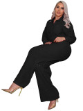 Hot stamping pleated long sleeved lapel shirt wide leg long pants two-piece set