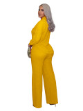 Hot stamping pleated long sleeved lapel shirt wide leg long pants two-piece set