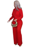 Hot stamping pleated long sleeved lapel shirt wide leg long pants two-piece set