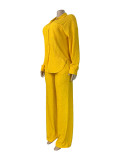 Hot stamping pleated long sleeved lapel shirt wide leg long pants two-piece set