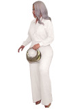 Hot stamping pleated long sleeved lapel shirt wide leg long pants two-piece set