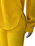 Hot stamping pleated long sleeved lapel shirt wide leg long pants two-piece set
