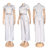 Polo Flared Sleeve Top with Notch Lapel and Double-Waisted Wide-Leg Pant Set - Casual Sporty Two-Piece Outfit