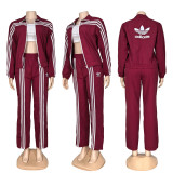 Autumn casual loose sports style suit zipper jacket+elastic waist wide leg pants two-piece set