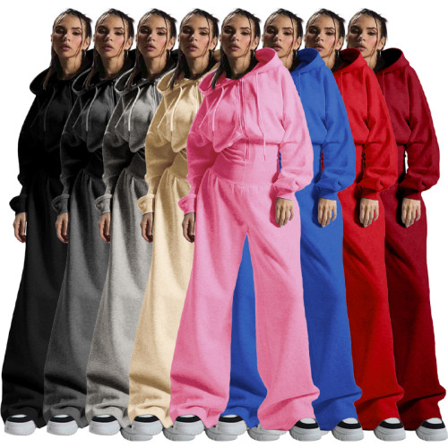 Fleece-lined hooded drawstring zip-up sweatpants with elastic waist and wide-leg design