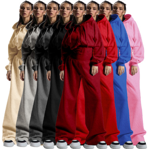 Fleece-lined hooded drawstring zip-up sweatpants with elastic waist and wide-leg design