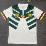22-23 Cameroon Away World Cup Fans Soccer Jersey