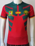 22-23 Cameroon Third World Cup Player Version Soccer Jersey