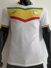 22-23 Senegal Home World Cup Player Version Soccer Jersey