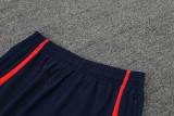 23-24 LIV Purple Black Training Short Suit